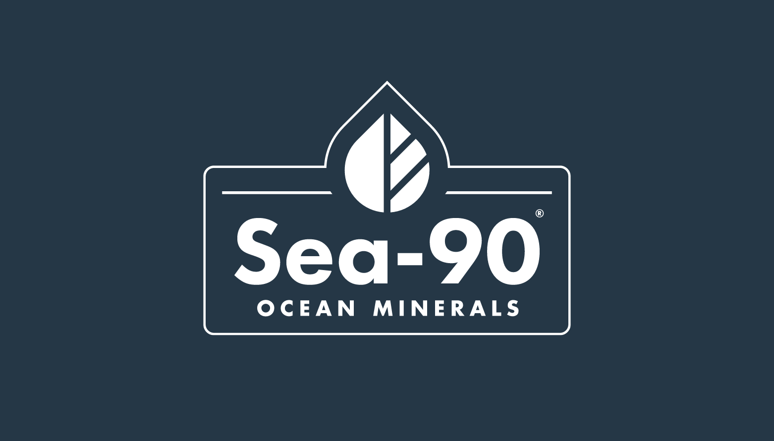 portfolio-sea90-logo-onecolor